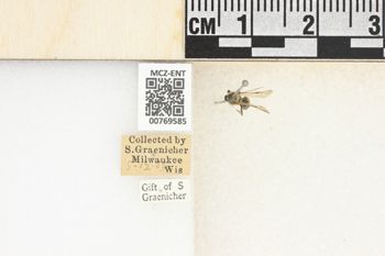 Media type: image;   Entomology 769585 Aspect: Labels